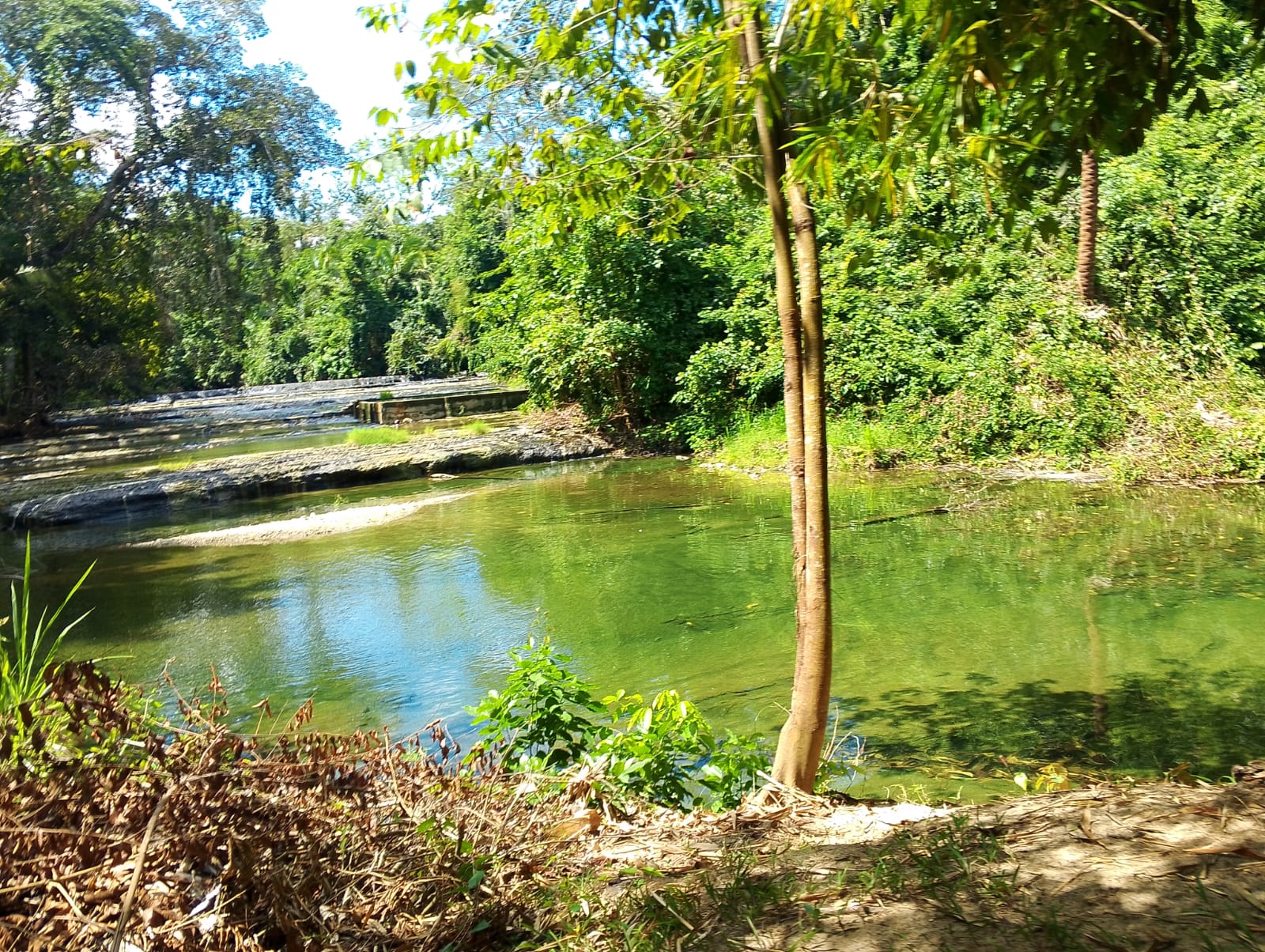 Un paraíso en medio de la selva amazonica